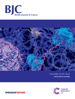 O artigo foi publicado pelo British Journal of Cancer (Imagem: BJC | Springer Nature)